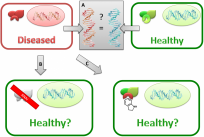 Figure 1.  Target discovery is the first step in drug discovery
A. Comparison of the genes of diseased versus healthy cells can uncover new drug targets.  B.  RNA interference (RNAi) can show that a potential drug target (red) is responsible for the disease.  C. A chemical probe can show that a single region of the drug target (red crescent) is the culprit and the probe can be optimised to give a new medicine.