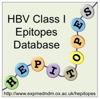'Hepitopes' is a project to identify protein fragments (epitopes) of the hepatitis B virus that are recognised by the immune system, helping to control or clear the infection. You can access the database on-line via our publication (Lumley et al, Wellcome Open Research 2016, 1:9. doi: 10.12688/wellcomeopenres.9952.1).