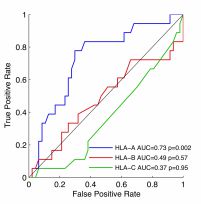 This graph shows the effect of important genes in the human immune system on HBV infection. We used a marker of viral infectivity called Hepatitis B e-antigen. The position of the blue line (representing HLA-A genes) shows a significant effect, while the genes in red and green (HLA-B and HLA-C) do not have an effect. This helps us to focus our attention on the immune responses that are most likely to control the infection. This result is published in the Journal of Infectious Diseases (doi: 10.1093/infdis/jiv592).