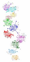 Superimposed 2-dimensional antigenic maps generated from predicted antigenic distances (in colour) using a machine learning algorithm to establish an explicit genotype to phenotype map; and from HI titre data (in grey).